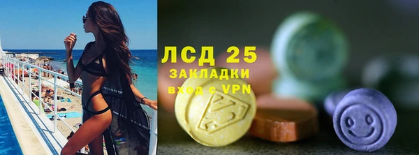 ГАЛЛЮЦИНОГЕННЫЕ ГРИБЫ Костерёво
