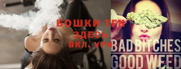 ГАЛЛЮЦИНОГЕННЫЕ ГРИБЫ Костерёво
