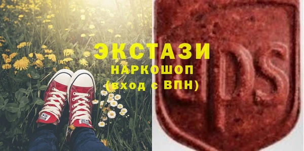 ГАЛЛЮЦИНОГЕННЫЕ ГРИБЫ Костерёво